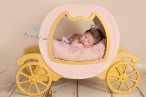 atrezzo-seguro-para-newborn-carroza